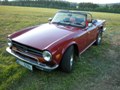 Triumph TR 6